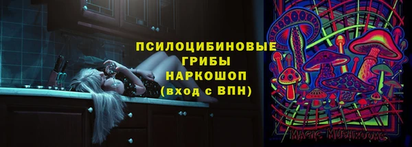 гидропоника Белоозёрский