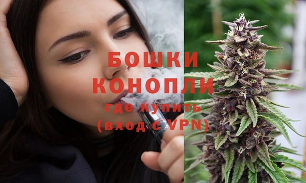 крисы Баксан