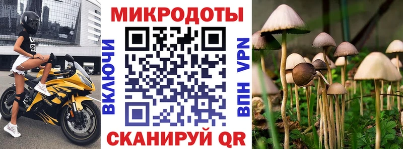 Галлюциногенные грибы Cubensis  Кодинск 